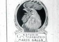 Gallo.jpg